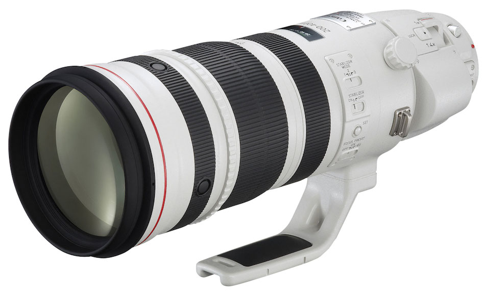 Canon EF 200-400mm F/4L IS 1.4X Firmware Update V1.1.0