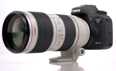 Oxideren Boekwinkel leven Canon 7D Mark III Rumored to Feature 32.5MP APS-c Sensor - Daily Camera News
