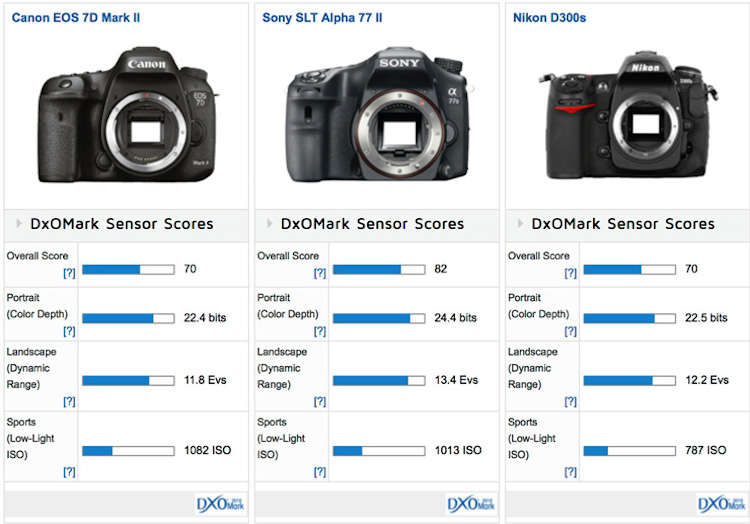 Canon-EOS-7D-Mk-II-vs-Nikon-D300s-vs-Sony-Alpha-77-II