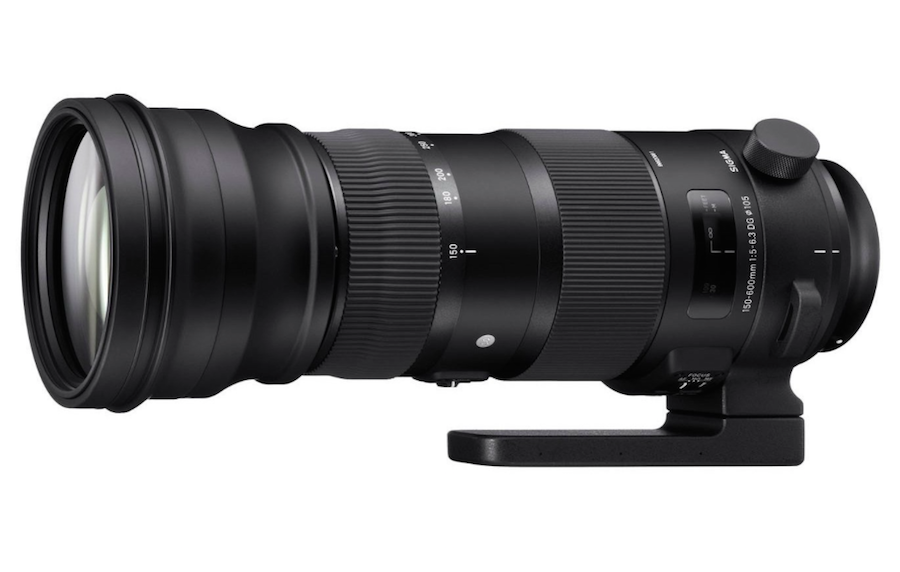 Sigma 150-600mm F5-6.3 S & C Lenses New Firmware Updates Released