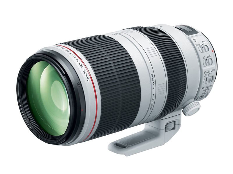 New Canon SuperTelephoto Zoom Lens is in the Works