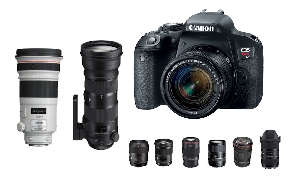 Best Lenses for Canon T7i DSLR camera