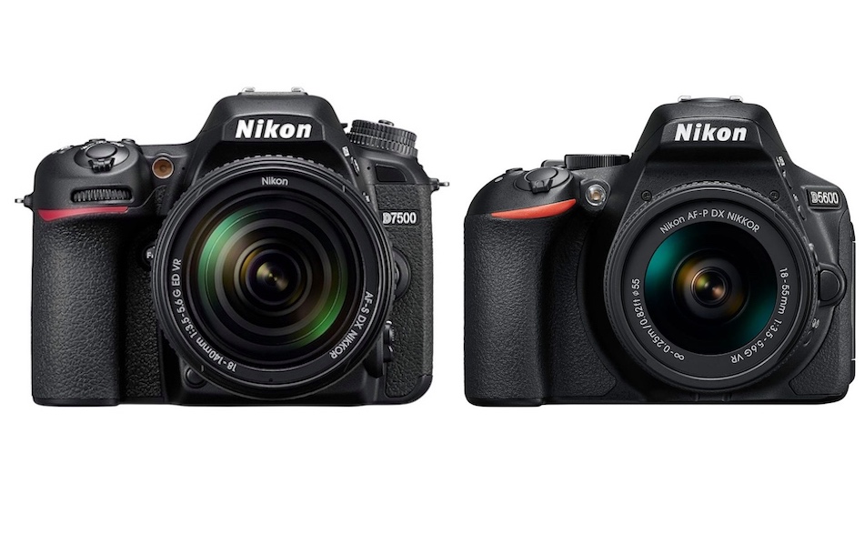 Differences between Nikon D7500 vs D5600 DSLR Cameras