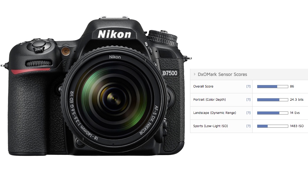 Nikon D7500 sensor test results