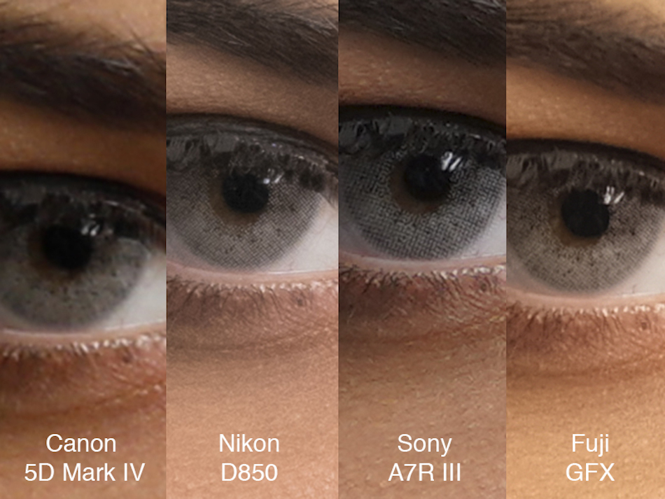 Sony A7R III vs 5D Mark IV vs Nikon D850 vs Fuji GFX 50s Comparison