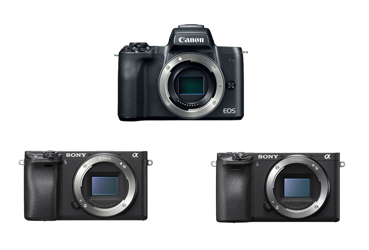 Sony canon сравнение. Canon m50 vs Sony a6300. Sony 6100 vs 6300. Canon m50 vs 1d. Canon m50 vs Sony a7s3.