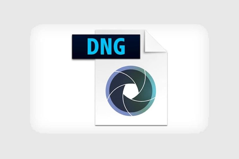 Adobe DNG Converter 11 Released Daily Camera News
