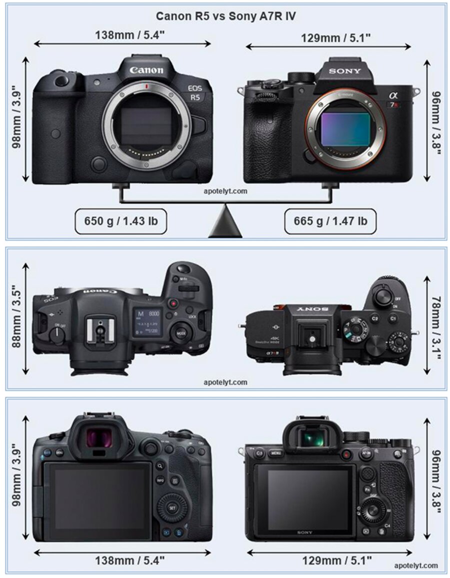 Sony canon сравнение. Canon EOS r5 Kit. Canon EOS r5 Mark II. Canon Sony a7iii. Sony a7 vs Canon 7d.