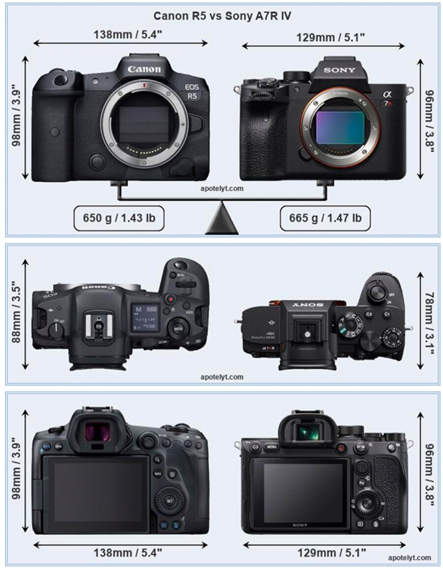 Sony canon сравнение