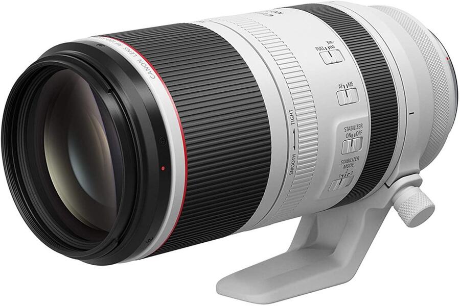 Canon RF 100-500mm F4-7.1L IS USM Lens Review: How good is it?